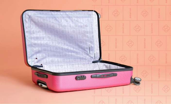 66a8f4c510ecc551bd4ba27c_sestini4