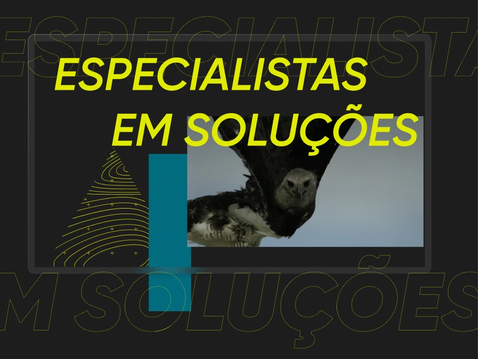 66a91198b2b6a96093b69f40_harpia1