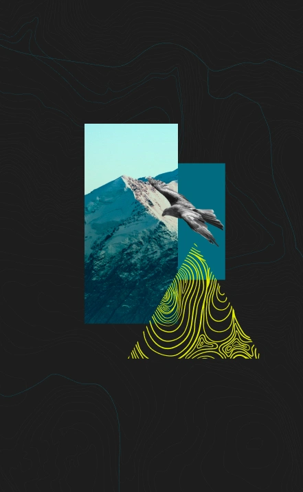 66a9119bc0d0acdcee9ee456_harpia2