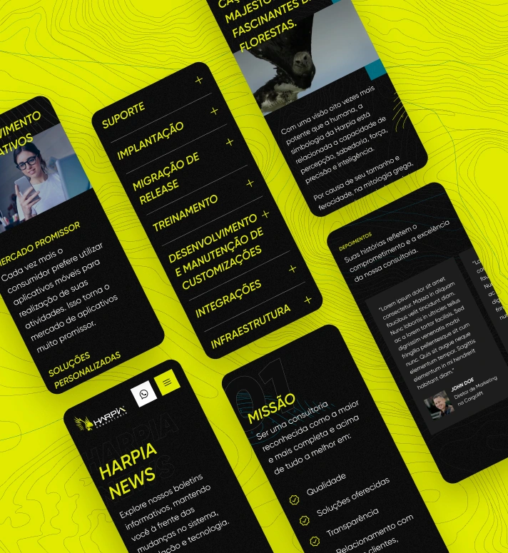 66a915f5bb967fc99d2f9664_harpia4